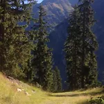 Moritz * Kaunertal