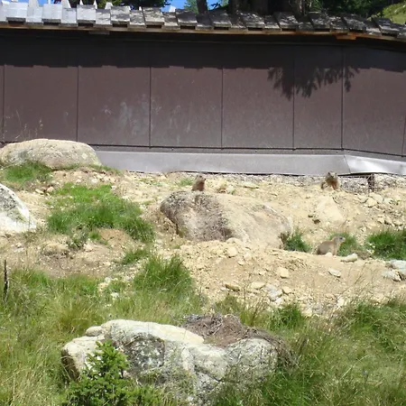 Moritz Lägenhet Kaunertal