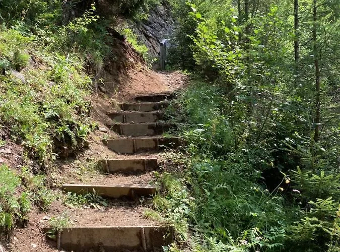 Moritz * קאונרטל