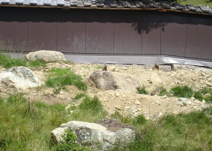 Moritz דירה קאונרטל