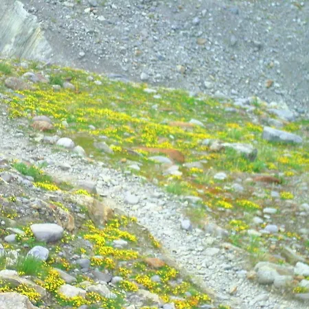 Appartamento Moritz *