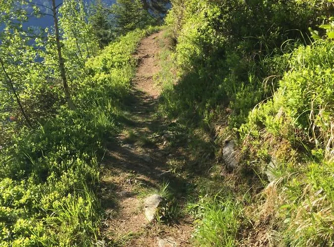 Moritz * كاونرتال