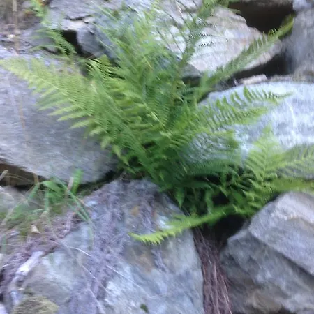 Moritz Appartamento *