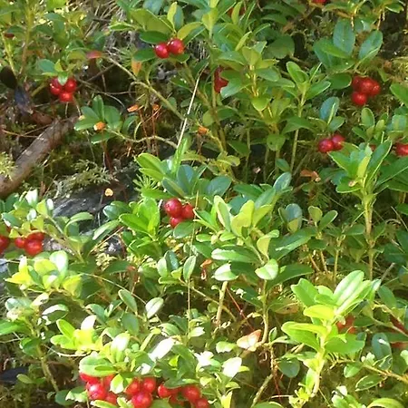 Appartamento Moritz *