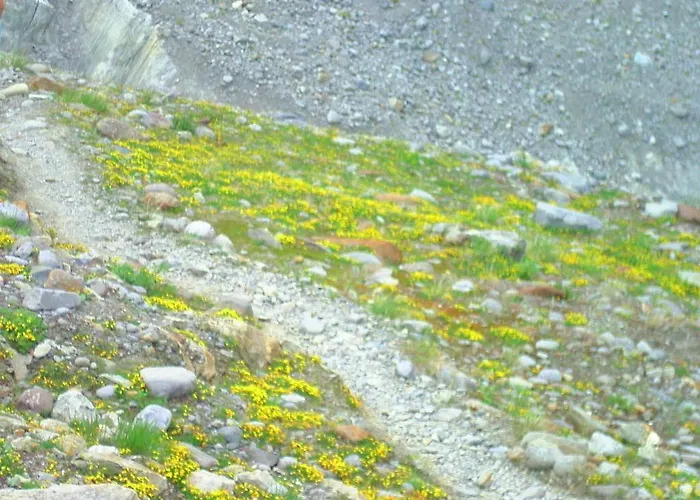 Апартаменты Moritz *