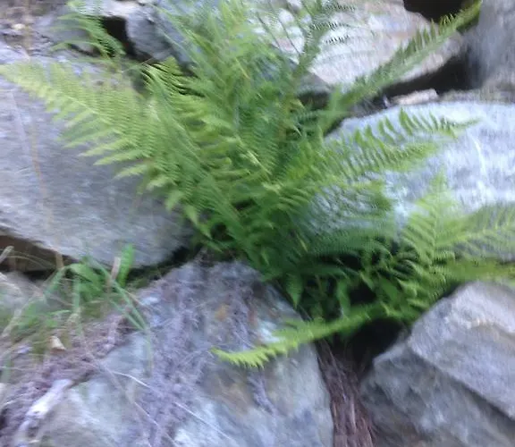 Moritz Апартаменты *